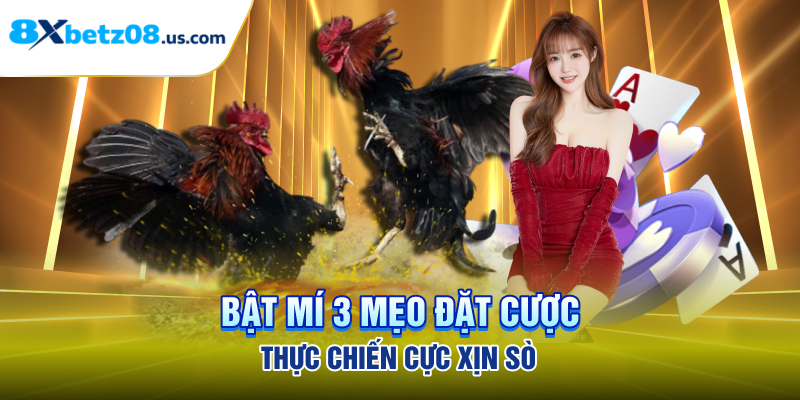 Bật mí 3 mẹo đặt cược thực chiến cực xịn sò