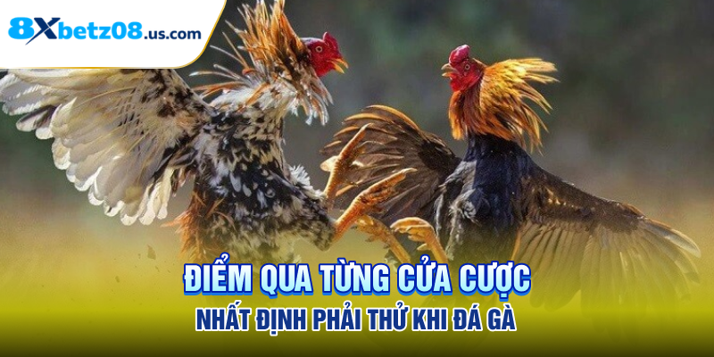 Điểm qua từng cửa cược nhất định phải thử khi đá gà