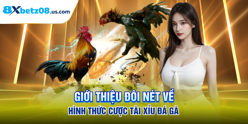 Giới thiệu đôi nét về hình thức cược tài xỉu đá gà