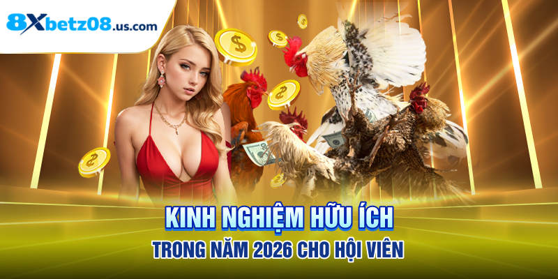 Kinh nghiệm hữu ích trong năm 2026 cho hội viên