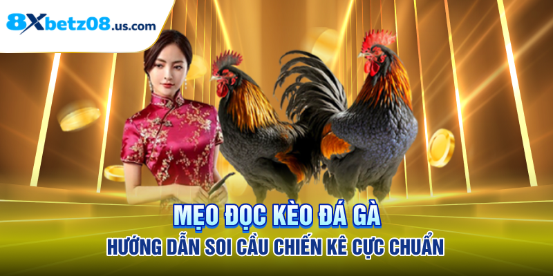 Mẹo Đọc Kèo Đá Gà - Hướng Dẫn Soi Cầu Chiến Kê Cực Chuẩn