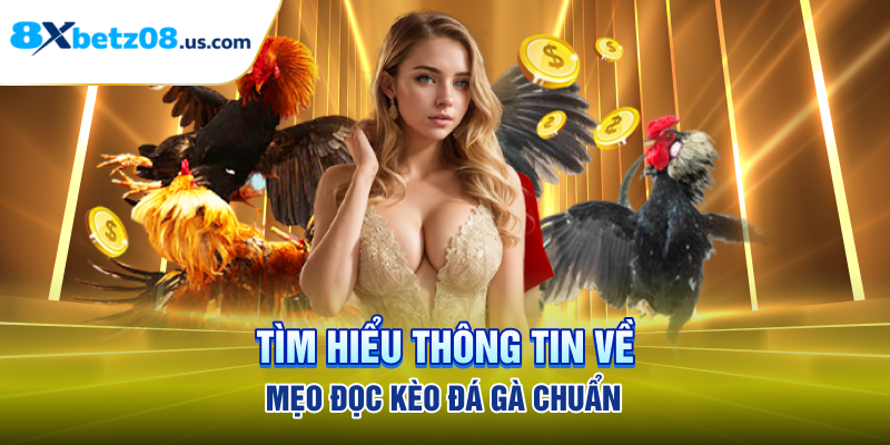 Tìm hiểu thông tin về mẹo đọc kèo đá gà chuẩn
